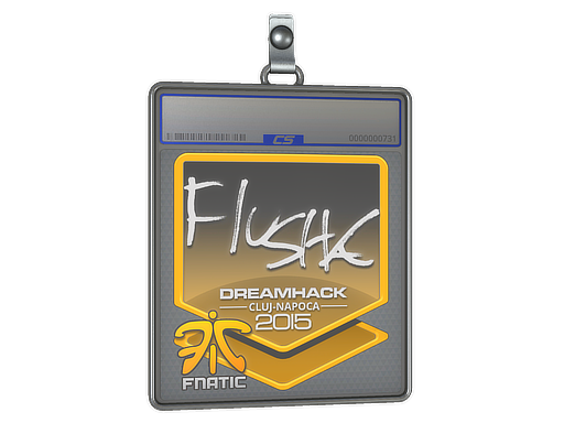 Sticker Slab flusha Cluj-Napoca 2015