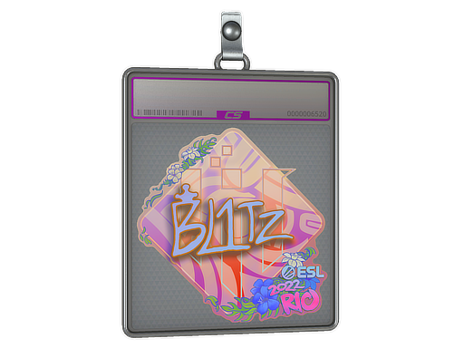 Sticker Slab bLitz Holo Rio 2022