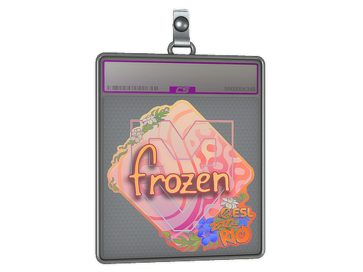 Sticker Slab frozen Holo Rio 2022