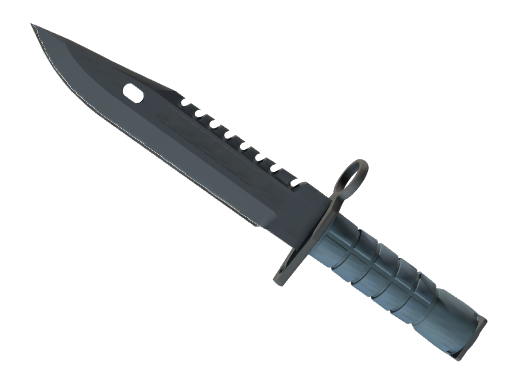 ★ M9 Bayonet Night Factory New