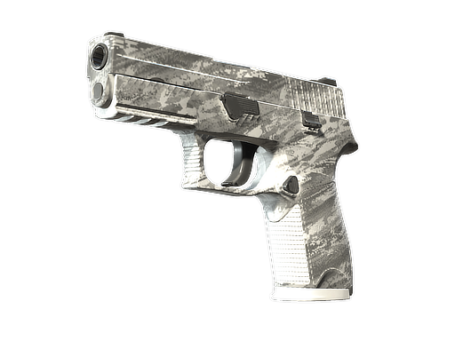 P250 Sleet 破损不堪
