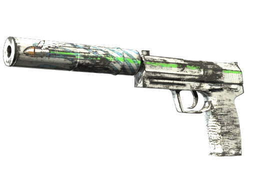 USP-S Road Rash Well-Worn