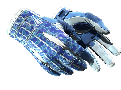 Sport Gloves