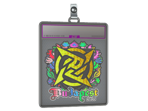 Sticker Slab Ninjas in Pyjamas Holo Budapest 2025