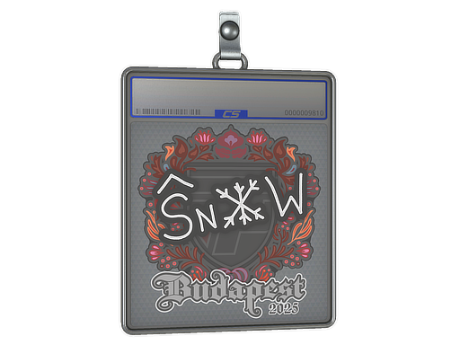 Sticker Slab snow Budapest 2025