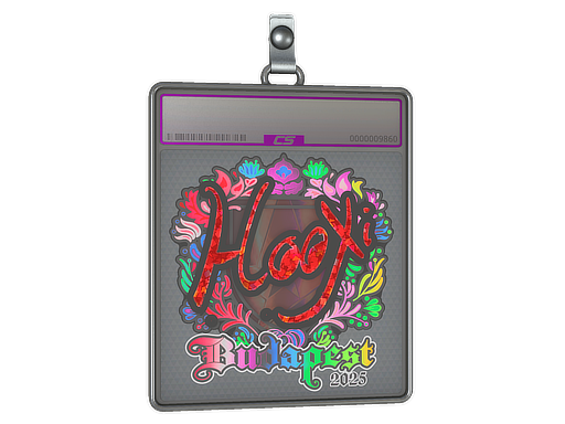 Sticker Slab HooXi Holo Budapest 2025