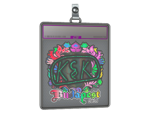 Sticker Slab kyousuke Holo Budapest 2025