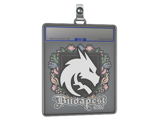 Sticker Slab Team Spirit Budapest 2025