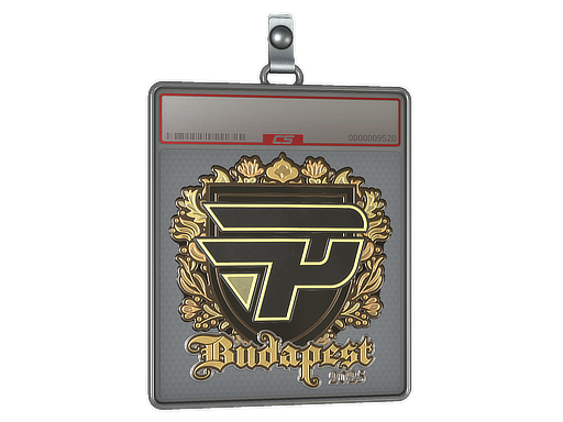 Sticker Slab paiN Gaming Gold Budapest 2025