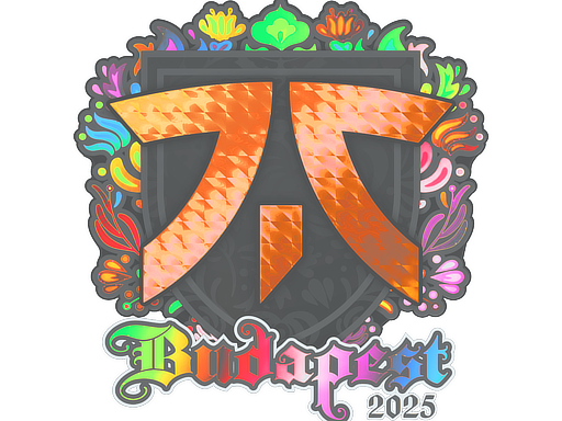 Sticker | fnatic (Holo) | Budapest 2025