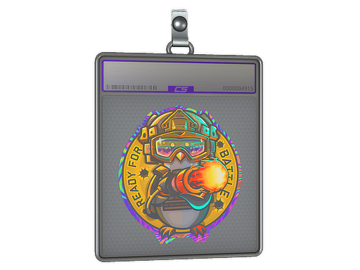 Sticker Slab Ready For Battle Holo