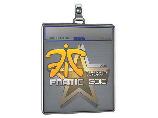 Sticker Slab Fnatic Cluj-Napoca 2015