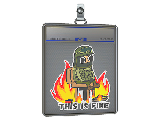 Sticker Slab This Is Fine CT