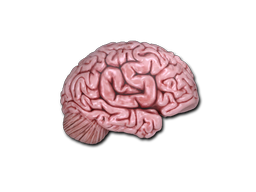 Sticker CS On The Mind