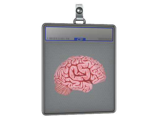 Sticker Slab CS On The Mind