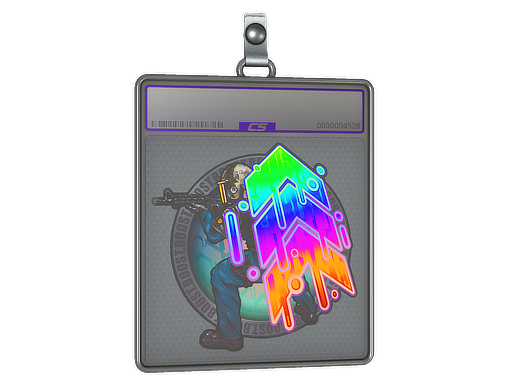 Sticker Slab Boost Holo