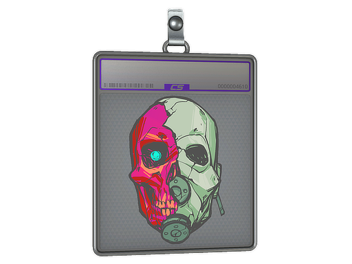 Sticker Slab Combine Helmet Holo