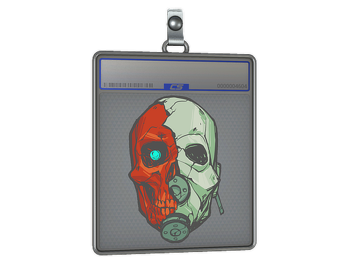 Sticker Slab Combine Helmet