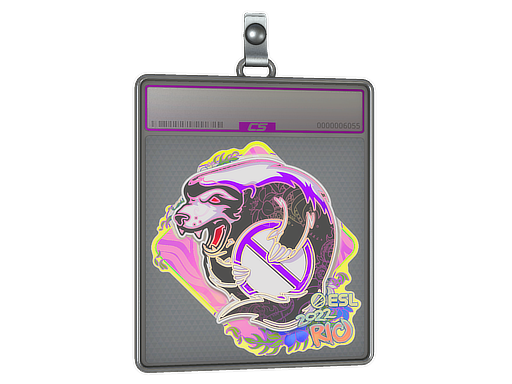 Sticker Slab Outsiders Holo Rio 2022