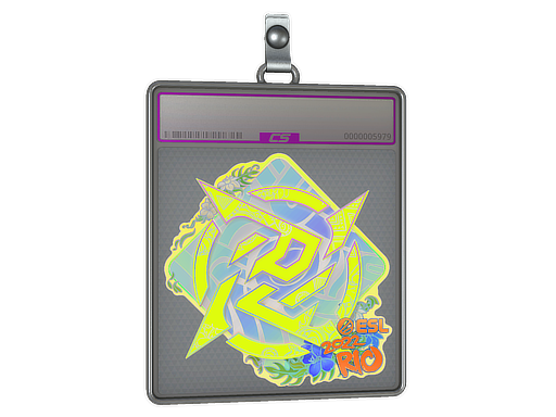 Sticker Slab Ninjas in Pyjamas Holo Rio 2022