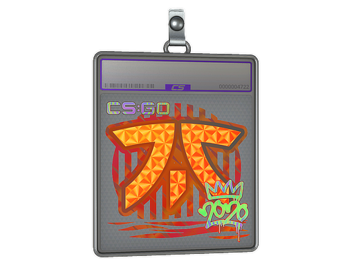 Sticker Slab Fnatic Holo 2020 RMR