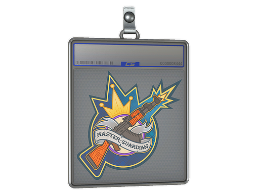 Sticker Slab Master Guardian