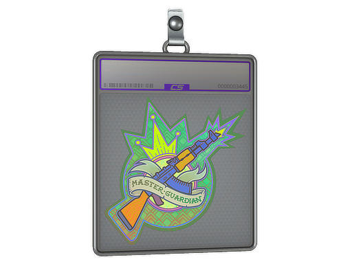 Sticker Slab Master Guardian Holo